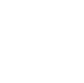 Fellipe Orli