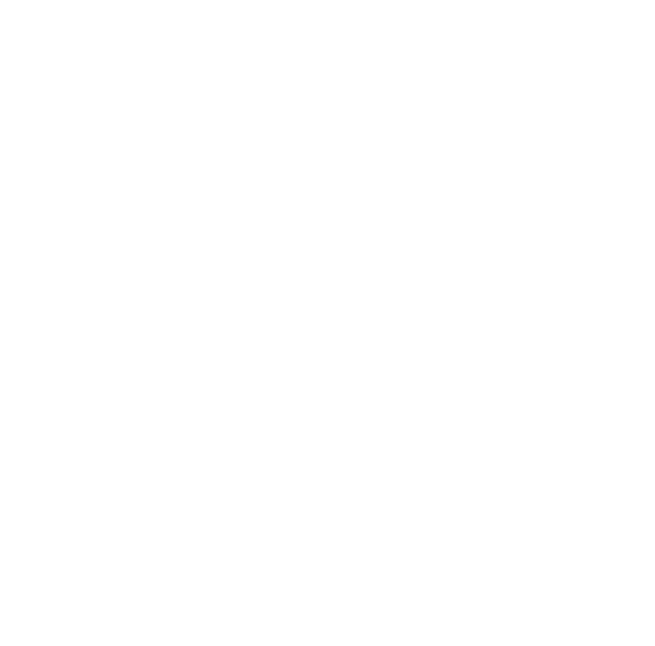 Fellipe Orli